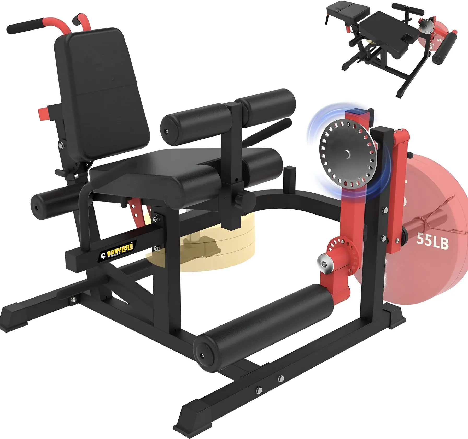 Leg Curl Machine Leg Machine For Home Body-Solid CAM Series Seated Leg  Extension Seated Leg Curl