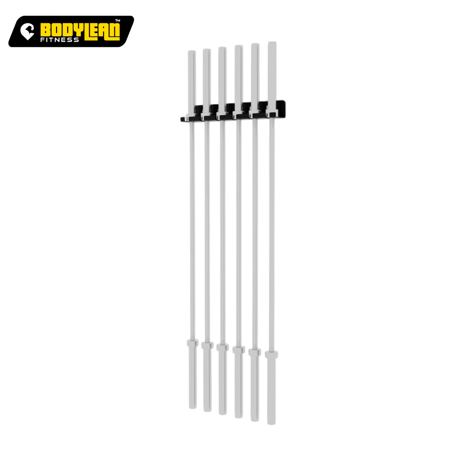 Multipurpose Gym Weight Plate Storage Rack Vertical Wall Hanging