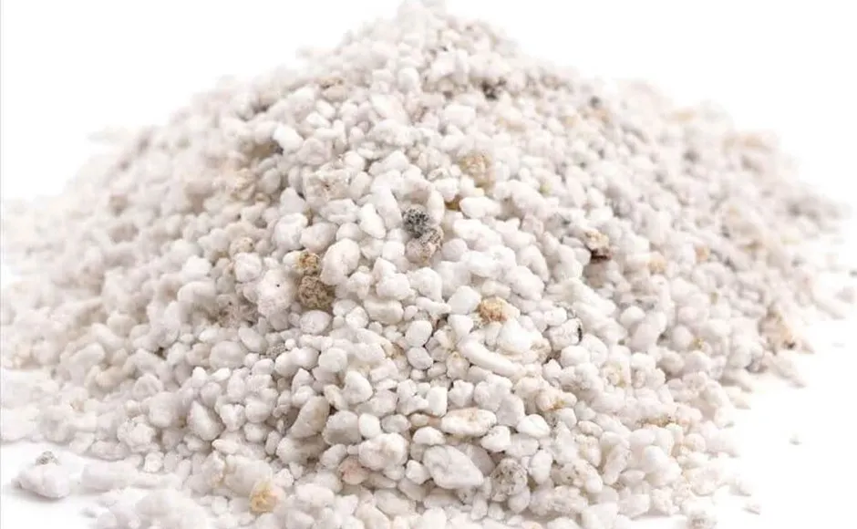 Perlite 1Kg (Soil Component) - samsgardenstore