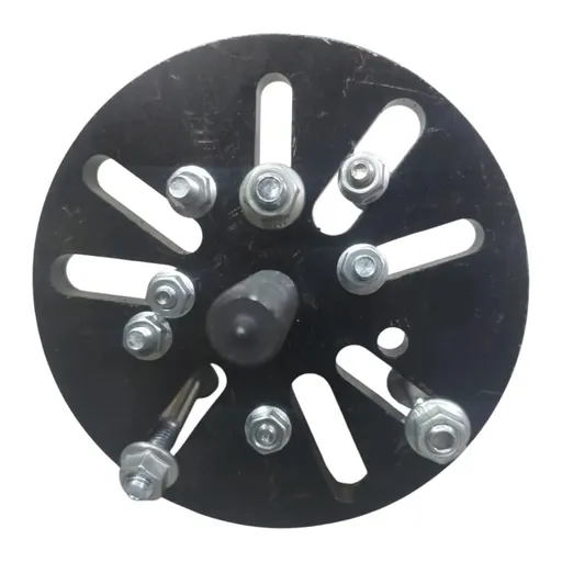 megu resized_1746256785097-512w.webp