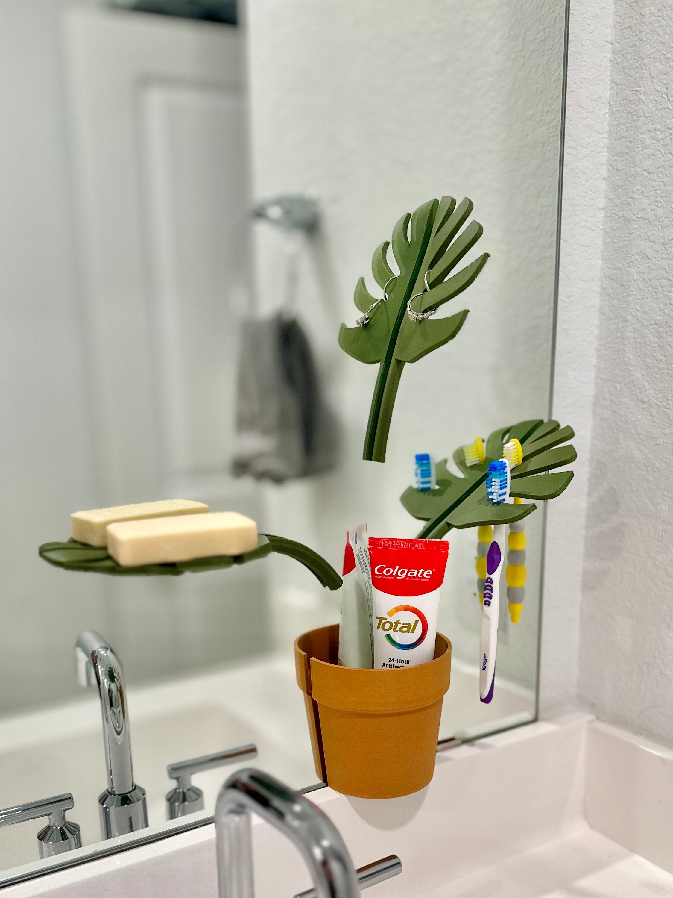 philodendron tiger Philodendron Narrow | Tiger Tooth Plant
